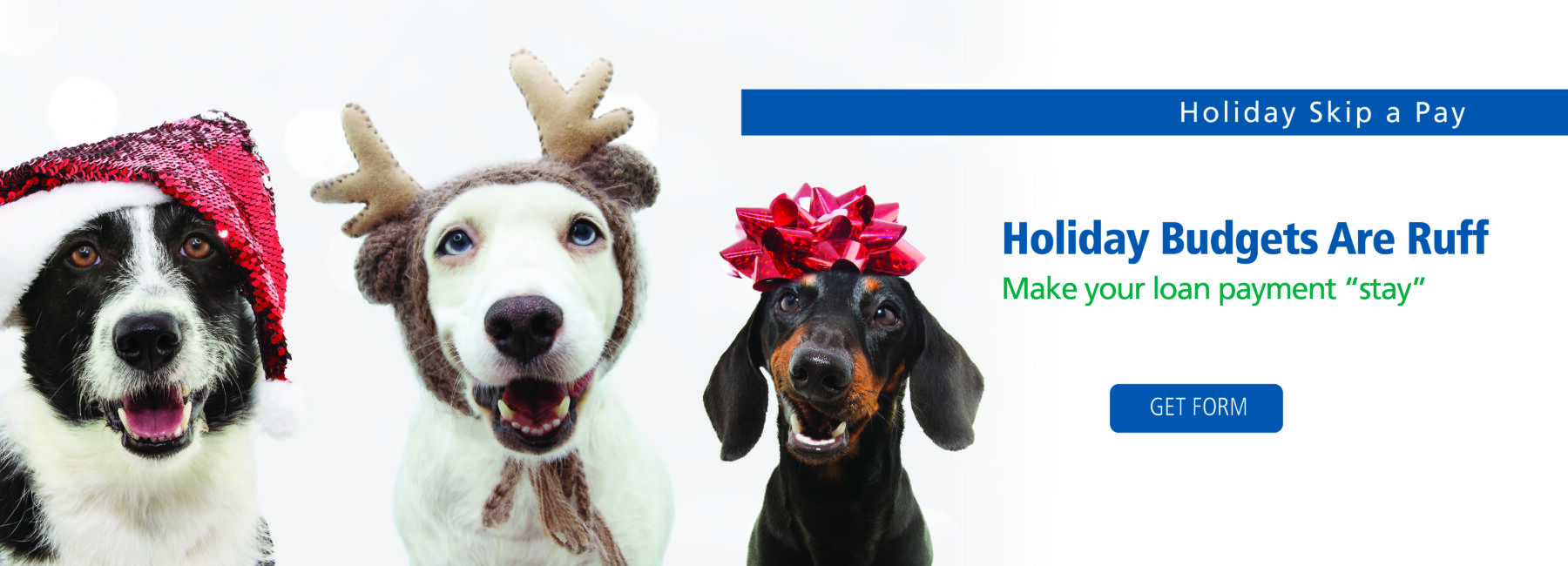 three dogs wearing holiday themed hats or a bow