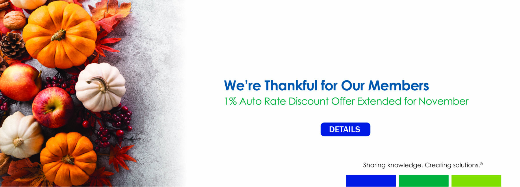 2025 November auto discount banner fall gourds pine cones and leaves